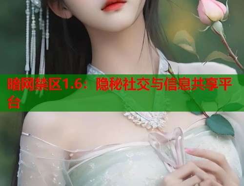 暗网禁区1.6：隐秘社交与信息共享平台