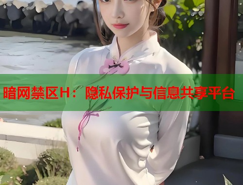 暗网禁区H：隐私保护与信息共享平台  第1张
