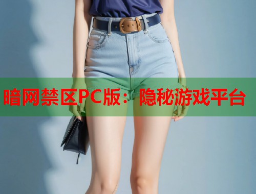 暗网禁区PC版：隐秘游戏平台  第1张