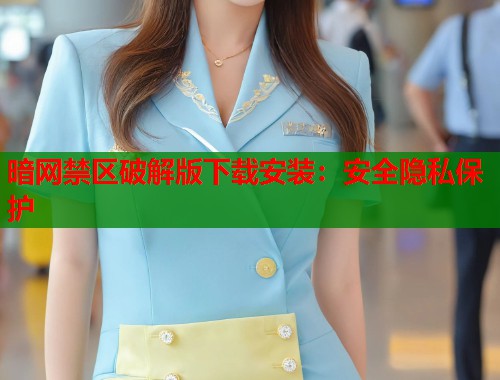 暗网禁区破解版下载安装：安全隐私保护