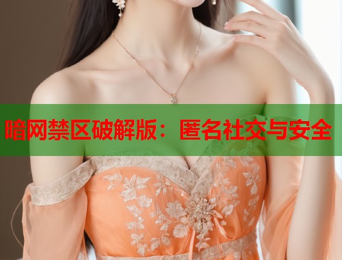 暗网禁区破解版：匿名社交与安全  第1张