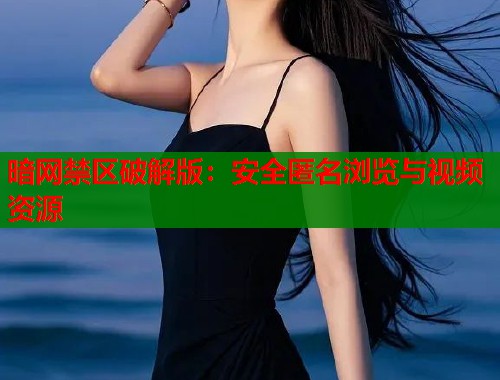 暗网禁区破解版：安全匿名浏览与视频资源  第1张