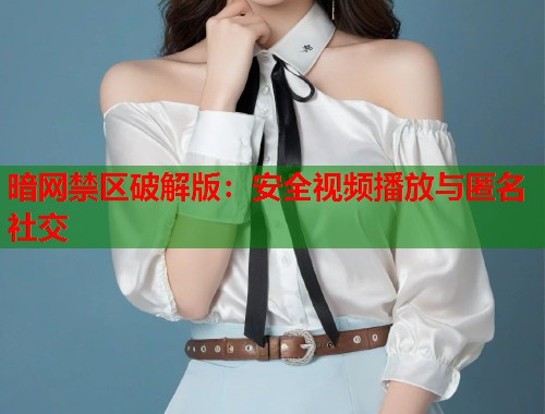 暗网禁区破解版：安全视频播放与匿名社交  第1张