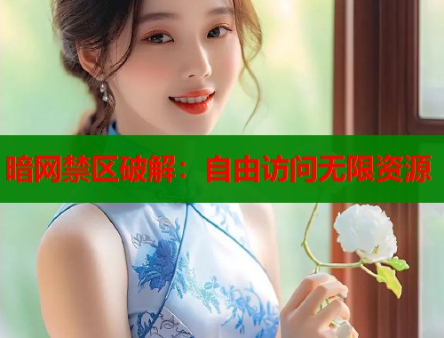 暗网禁区破解：自由访问无限资源  第2张