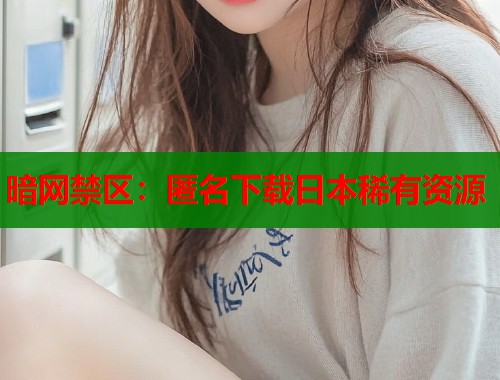暗网禁区：匿名下载日本稀有资源
