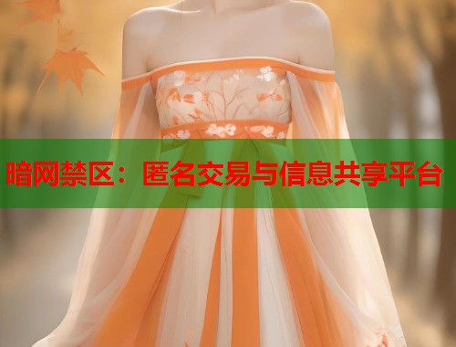 暗网禁区：匿名交易与信息共享平台  第1张