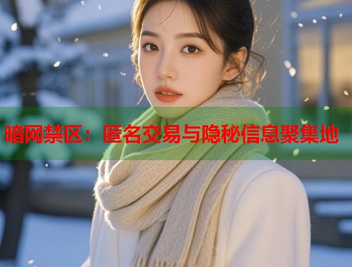 暗网禁区：匿名交易与隐秘信息聚集地  第2张