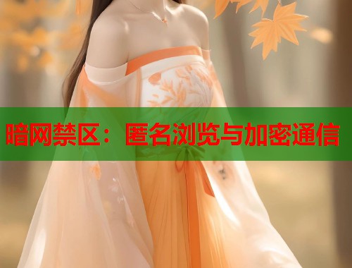 暗网禁区：匿名浏览与加密通信