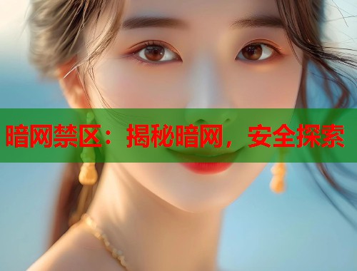 暗网禁区：揭秘暗网，安全探索  第1张