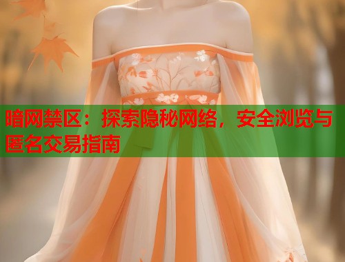 暗网禁区：探索隐秘网络，安全浏览与匿名交易指南  第1张