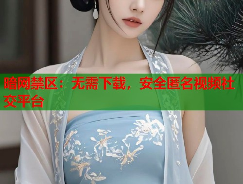 暗网禁区：无需下载，安全匿名视频社交平台  第1张
