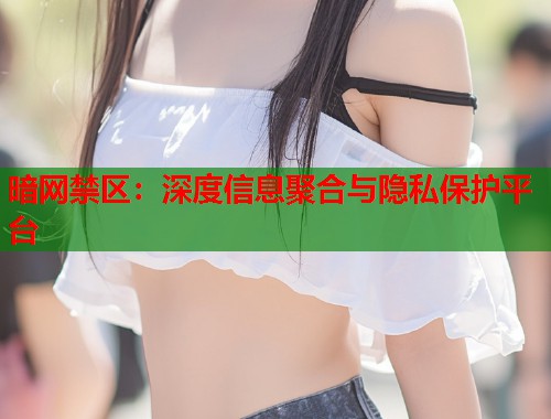 暗网禁区：深度信息聚合与隐私保护平台  第1张