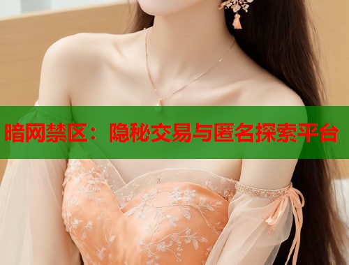 暗网禁区：隐秘交易与匿名探索平台
