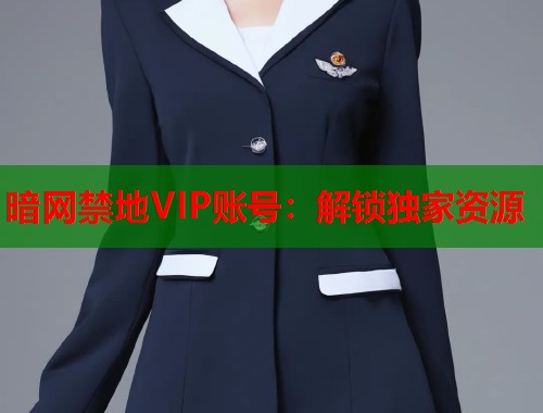 暗网禁地VIP账号：解锁独家资源  第2张