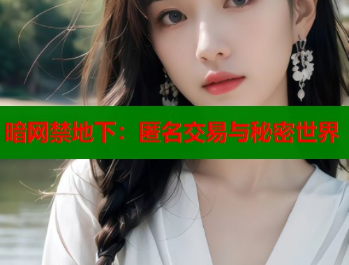 暗网禁地下：匿名交易与秘密世界