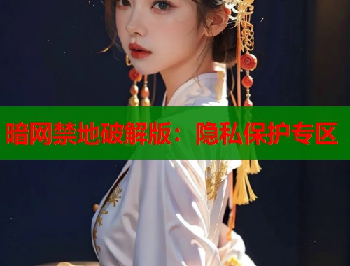 暗网禁地破解版：隐私保护专区