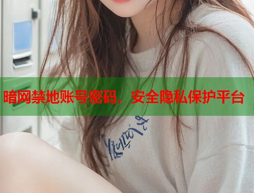 暗网禁地账号密码，安全隐私保护平台  第1张