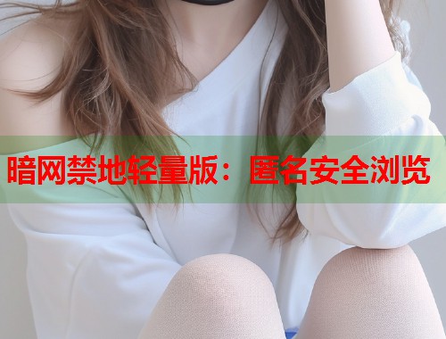 暗网禁地轻量版：匿名安全浏览  第1张