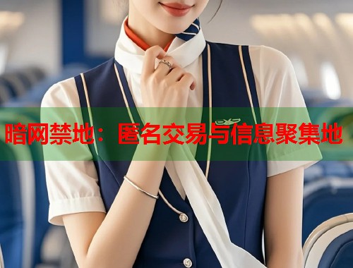 暗网禁地：匿名交易与信息聚集地