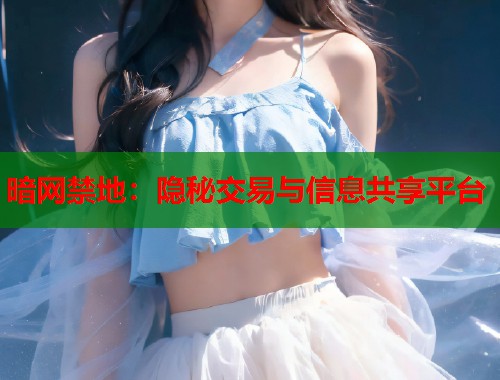 暗网禁地：隐秘交易与信息共享平台