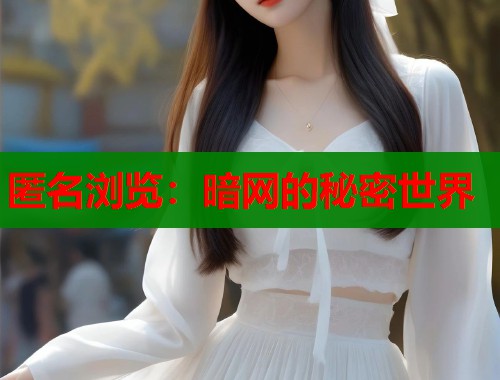 匿名浏览：暗网的秘密世界  第2张