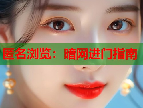 匿名浏览：暗网进门指南