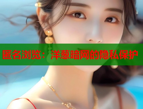 匿名浏览：洋葱暗网的隐私保护  第1张