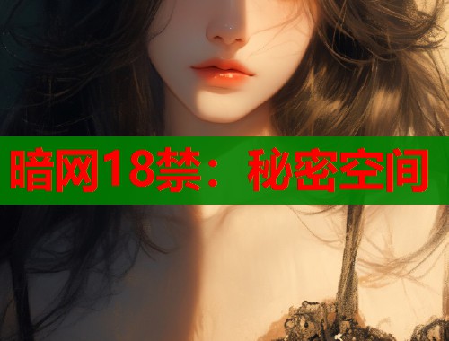 暗网18禁：秘密空间