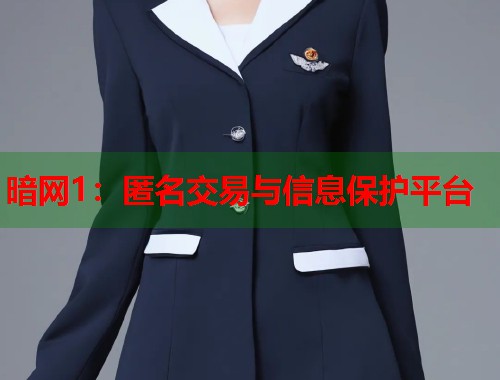 暗网1：匿名交易与信息保护平台