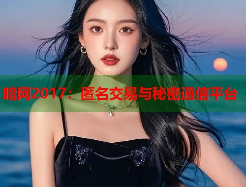 暗网2017：匿名交易与秘密通信平台  第1张