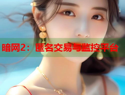 暗网2：匿名交易与监控平台  第1张
