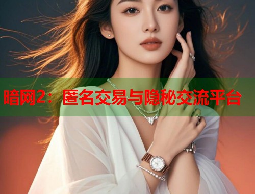 暗网2：匿名交易与隐秘交流平台