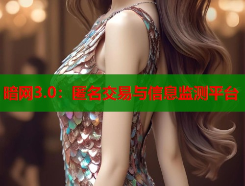暗网3.0：匿名交易与信息监测平台