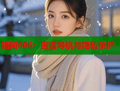 暗网666：匿名导航与隐私保护  第1张