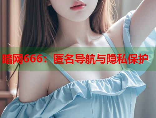 暗网666：匿名导航与隐私保护  第2张