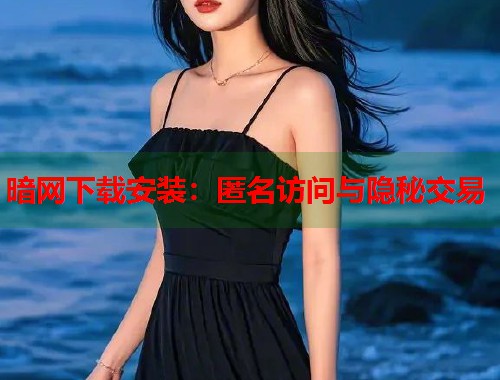 暗网下载安装：匿名访问与隐秘交易  第1张