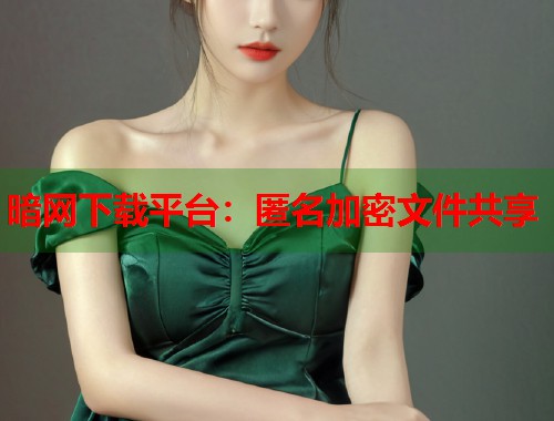暗网下载平台：匿名加密文件共享  第1张