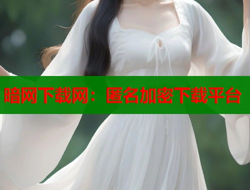 暗网下载网：匿名加密下载平台  第1张