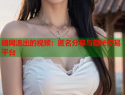 暗网流出的视频：匿名分享与隐秘交易平台  第1张