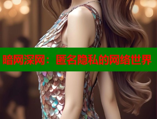 暗网深网：匿名隐私的网络世界