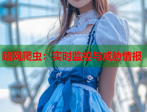 暗网爬虫：实时监控与威胁情报