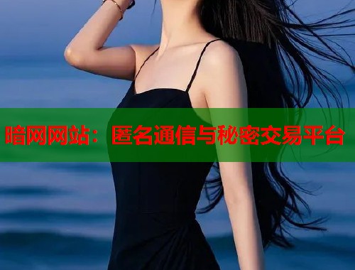暗网网站：匿名通信与秘密交易平台