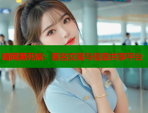 暗网黑死病：匿名交易与信息共享平台