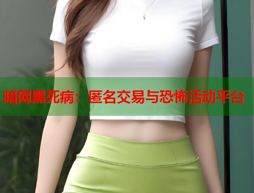 暗网黑死病：匿名交易与恐怖活动平台