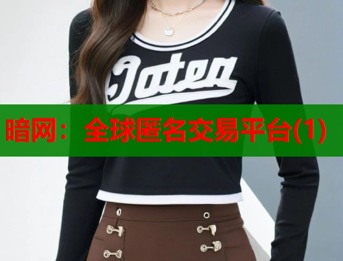 暗网：全球匿名交易平台(1)