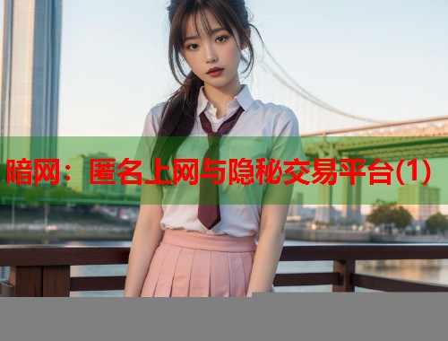 暗网：匿名上网与隐秘交易平台(1)