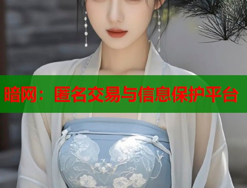 暗网：匿名交易与信息保护平台