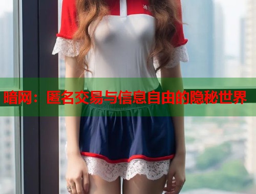 暗网：匿名交易与信息自由的隐秘世界