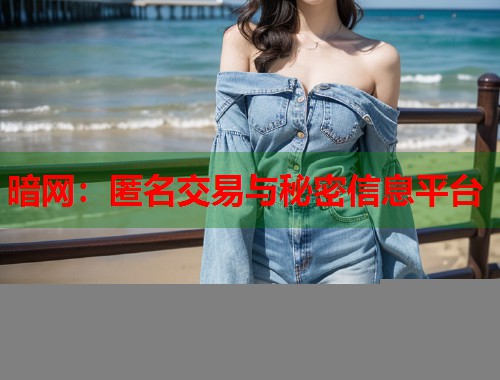 暗网：匿名交易与秘密信息平台  第2张