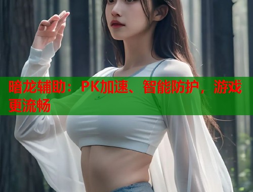 暗龙辅助：PK加速、智能防护，游戏更流畅